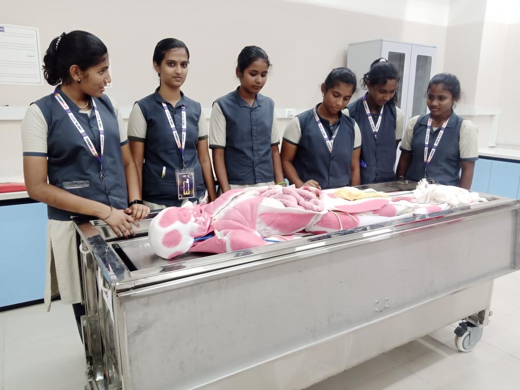 Indian Modern Matric Hr. Sec. School,Best school in tirupattur,Best Matriculation School in Tirupattur,Best school near tirupattur,Best school in Kasinaickenpatti,schools near me tirupattur,IMMS,imm schools,immschools,tirupattur,kasinaickenpatti,Indian modern school tirupattur.